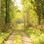 札幌で雪虫大発生、初冬の札幌物語。