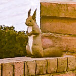 エゾエンゴサク・スプリング・エフェメラル～春の妖精